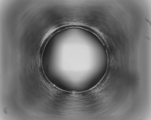 X0000098031271200804071408