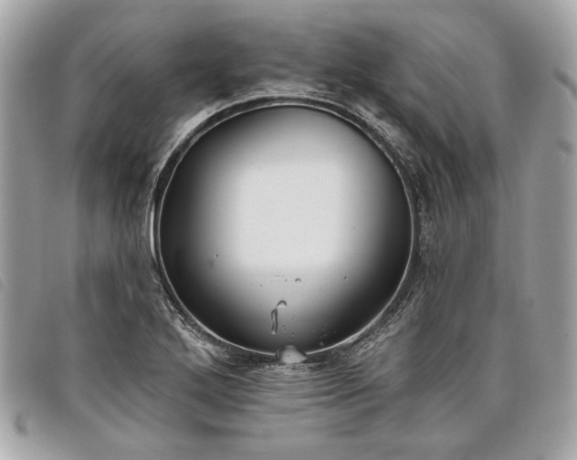 X0000098031272200804071408