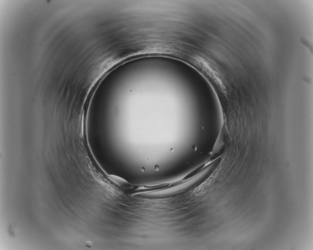 X0000098031276200804071408