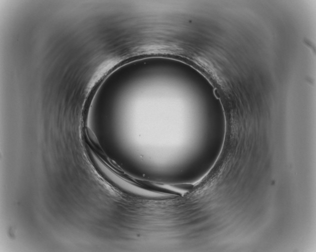 X0000098031277200804071408