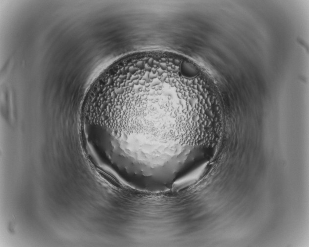 X0000098031279200804071408