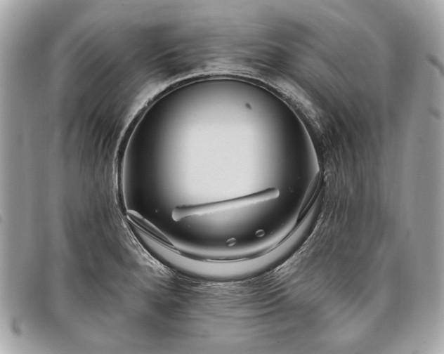 X0000098031280200804071408