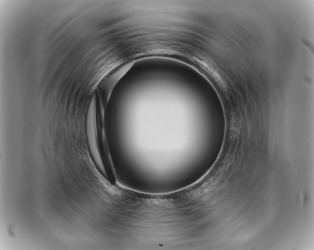 X0000098031281200804071408