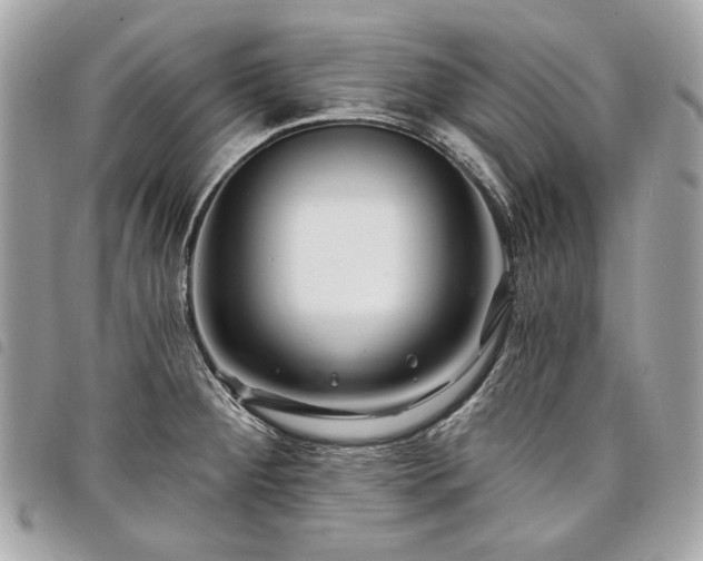 X0000098031284200804071408