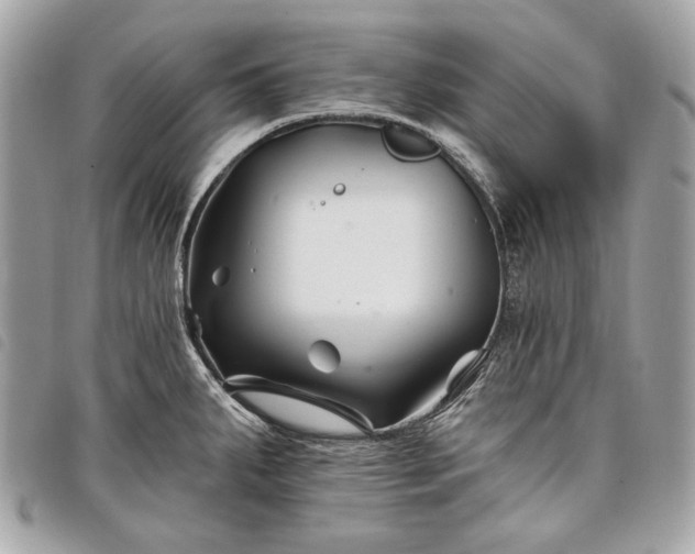 X0000098031287200804071408