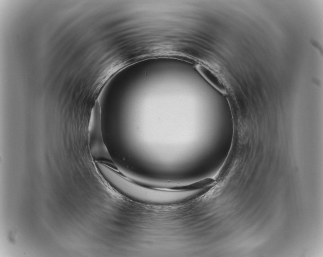 X0000098031289200804071408