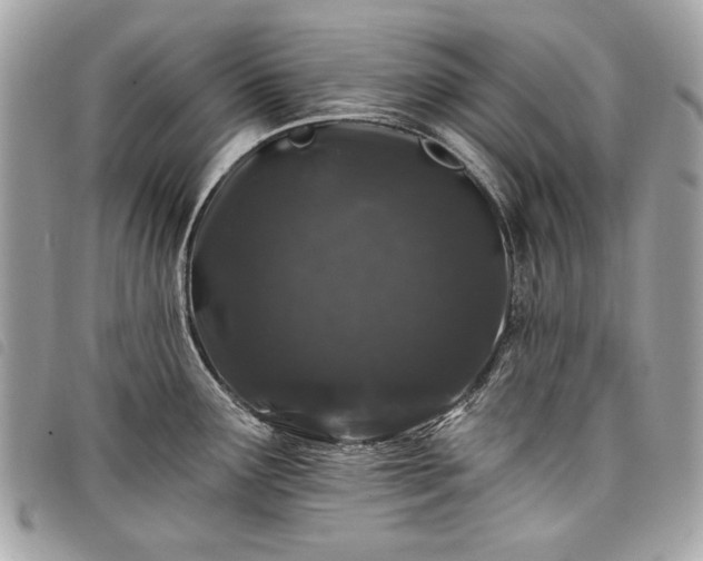 X0000098031291200804071408