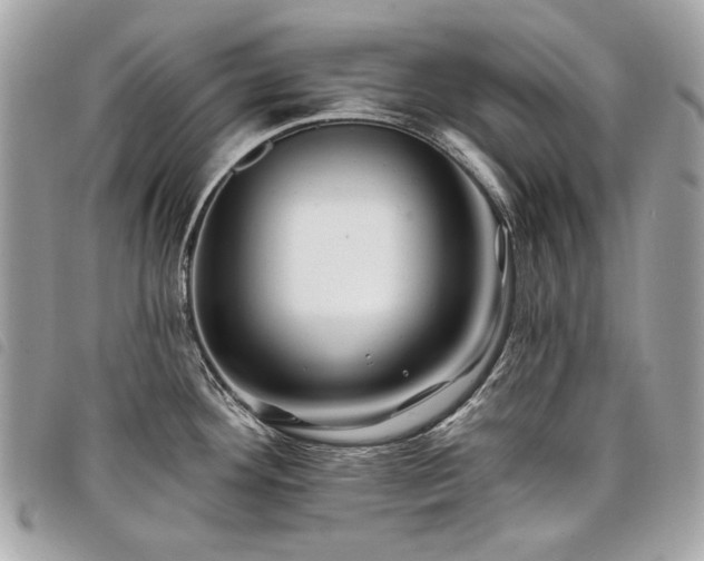 X0000098031292200804071408