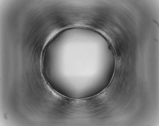 X0000098031294200804071408