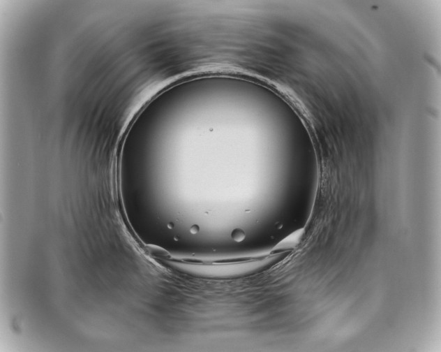 X0000098031295200804071408