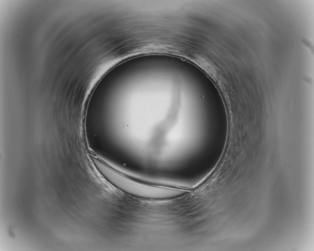 X0000098031296200804071408