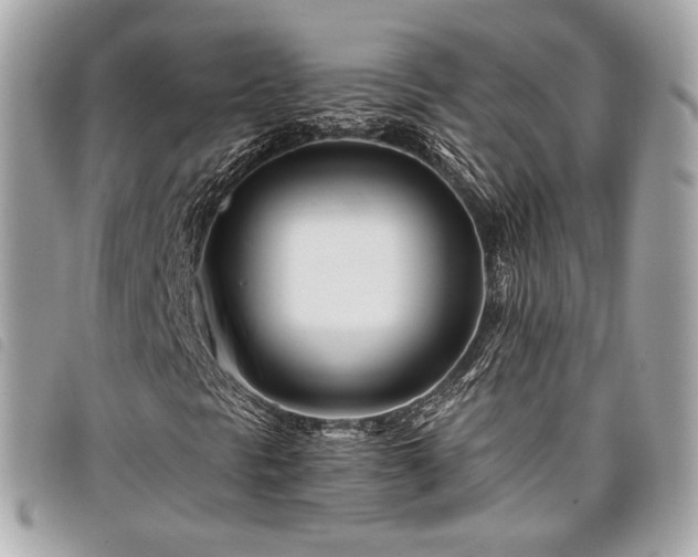 X0000098031297200804071407