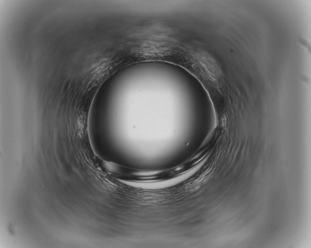 X0000098031300200804071407