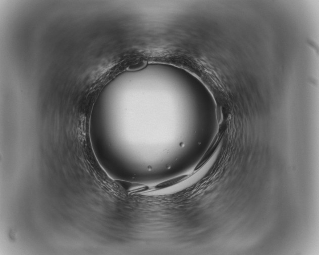 X0000098031301200804071407