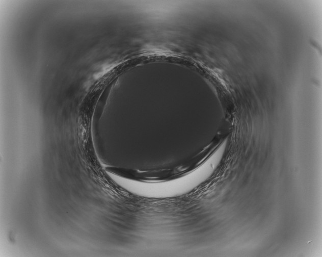 X0000098031303200804071408