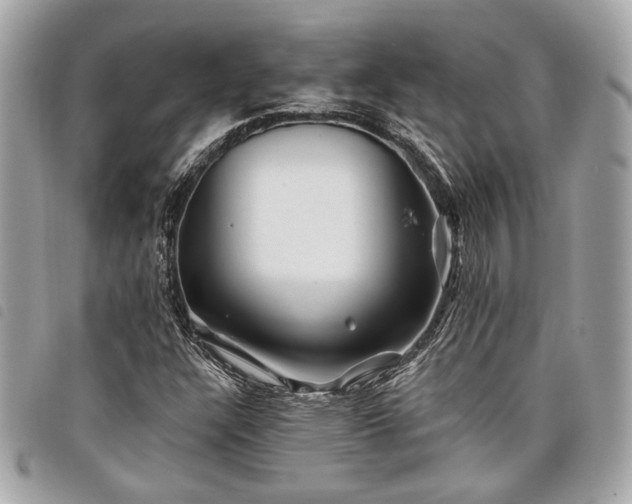 X0000098031304200804071408