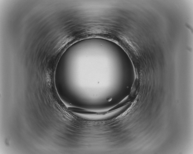 X0000098031305200804071408