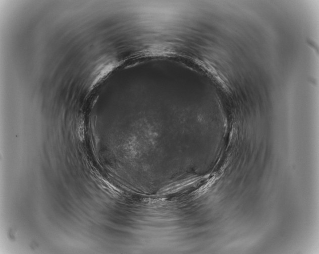 X0000098031306200804071408