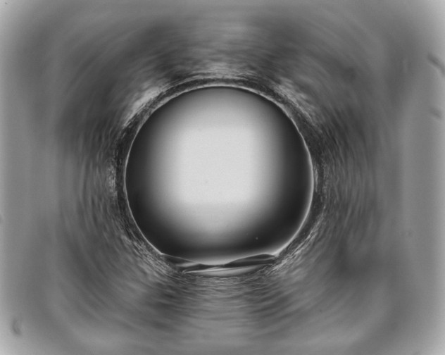 X0000098031307200804071408