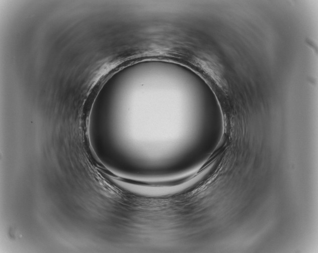 X0000098031308200804071408