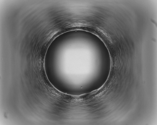 X0000098031313200804071408