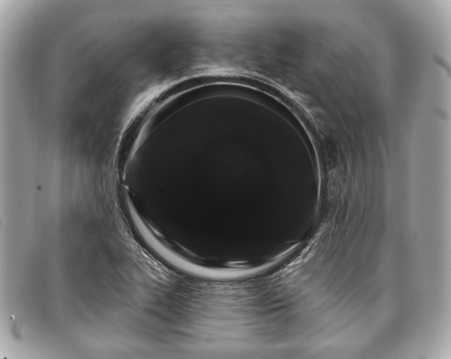 X0000098031319200804071408