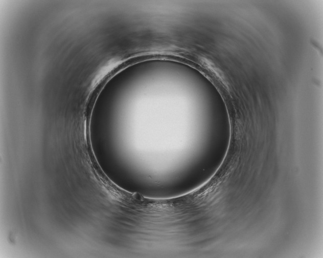 X0000098031320200804071408