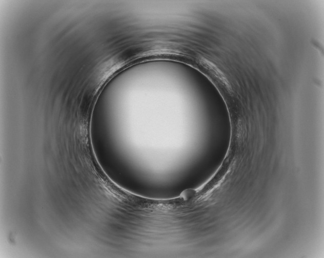 X0000098031321200804071408