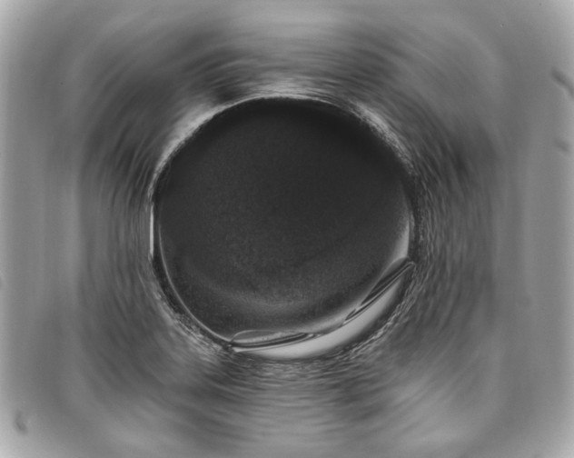 X0000098031323200804071408