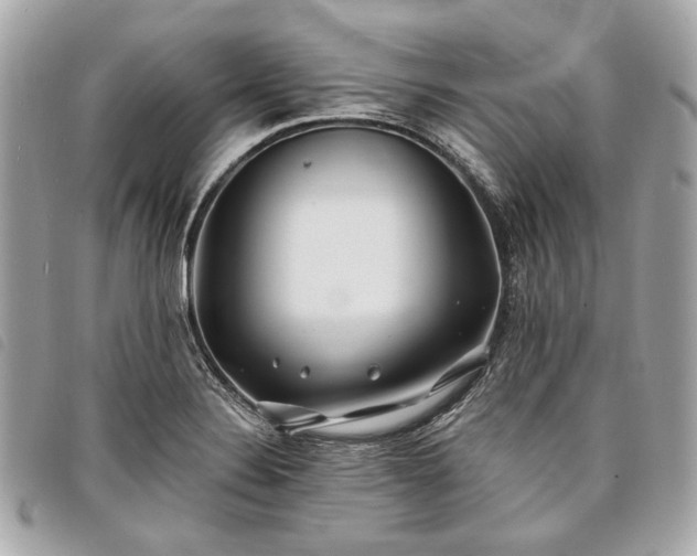 X0000098031324200804071408