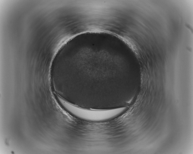 X0000098031327200804071408