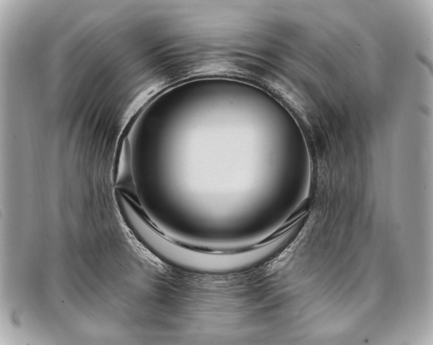 X0000098031330200804071408