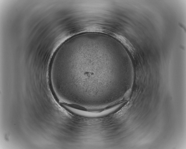 X0000098031331200804071408