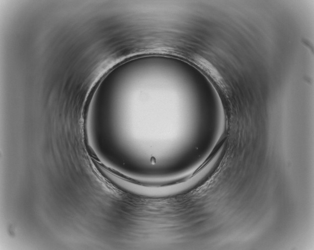 X0000098031332200804071408