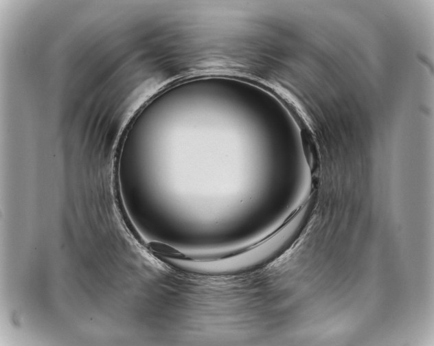 X0000098031333200804071408