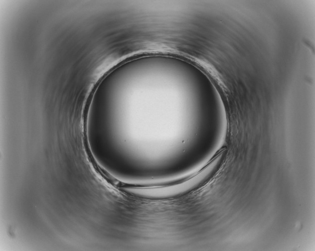 X0000098031335200804071408