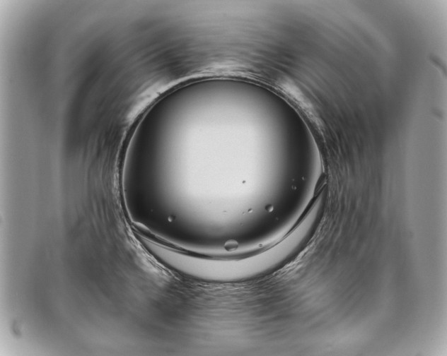 X0000098031336200804071408