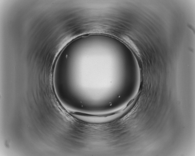 X0000098031340200804071408