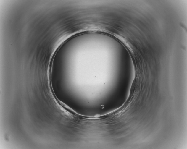 X0000098031343200804071408