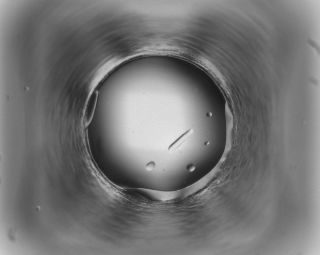 X0000098031344200804071408