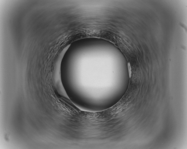 X0000098031345200804071407