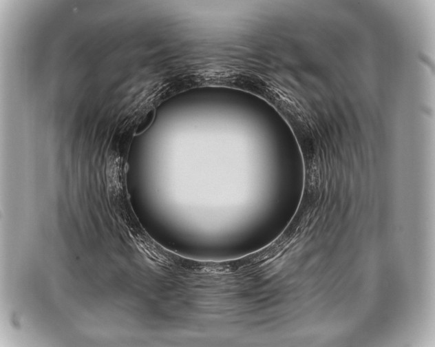 X0000098031346200804071407