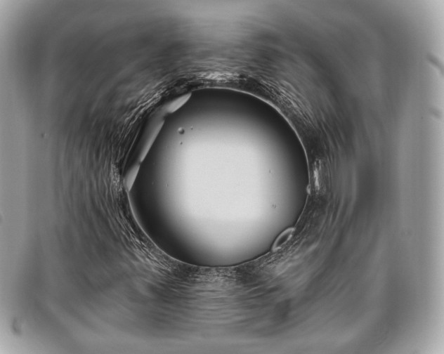 X0000098031347200804071407