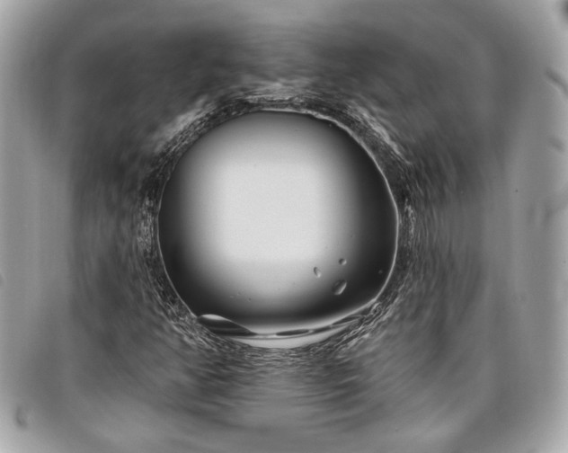 X0000098031350200804071407