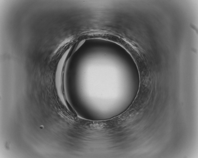 X0000098031351200804071407