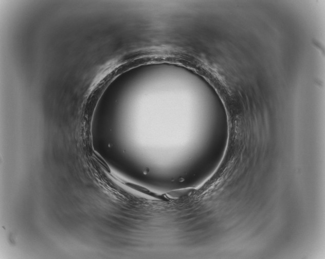 X0000098031352200804071407