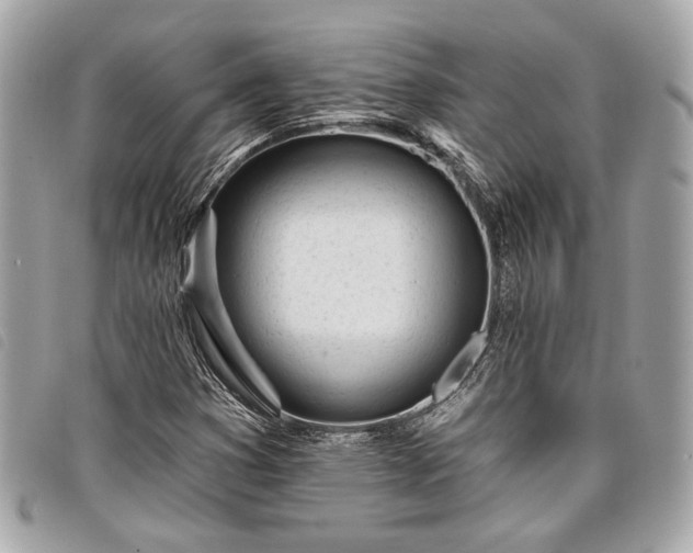 X0000098031353200804071407