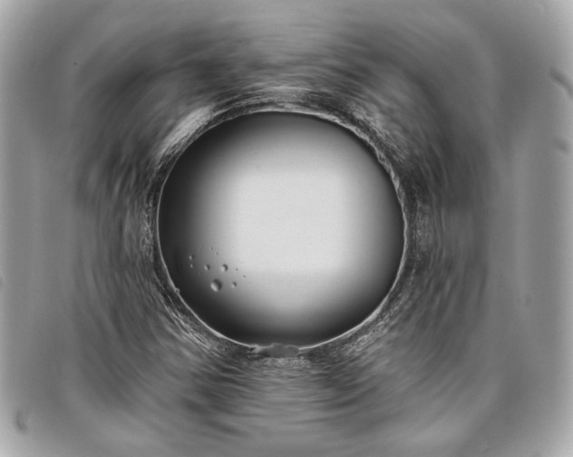 X0000098031354200804071407