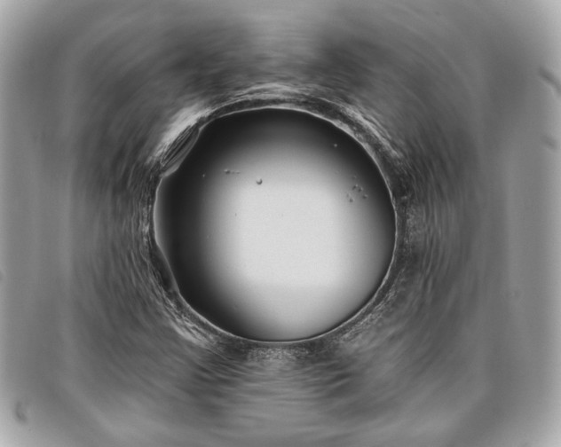 X0000098031355200804071407