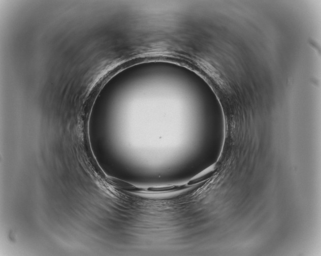 X0000098031356200804071407